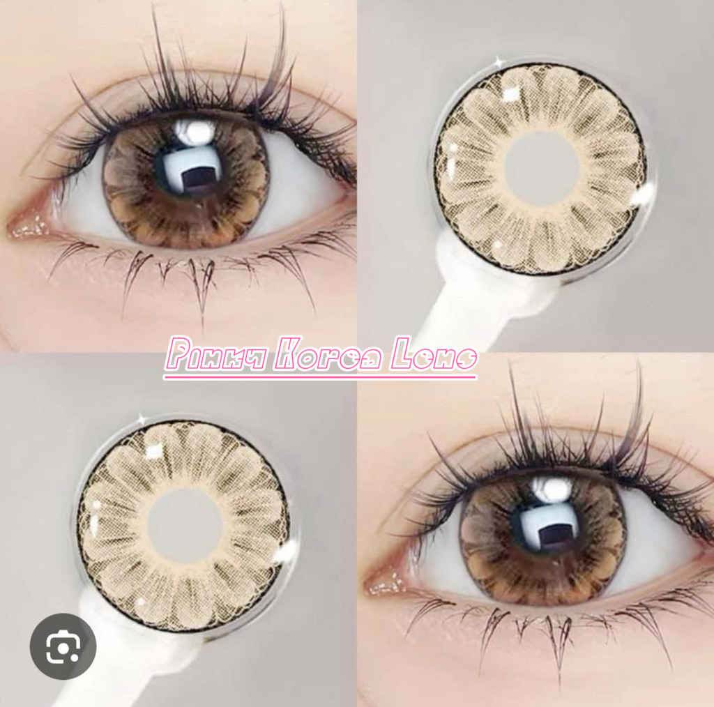 Power200ပန်းပွင့်အညို