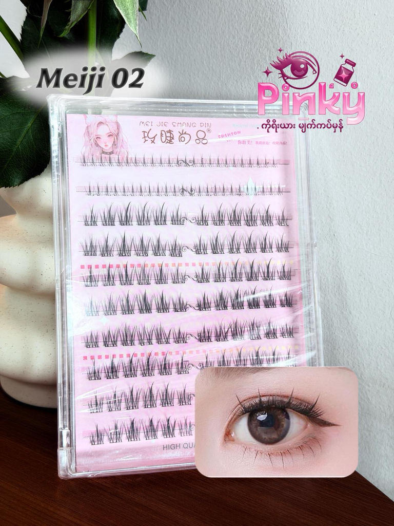 Meiji 02