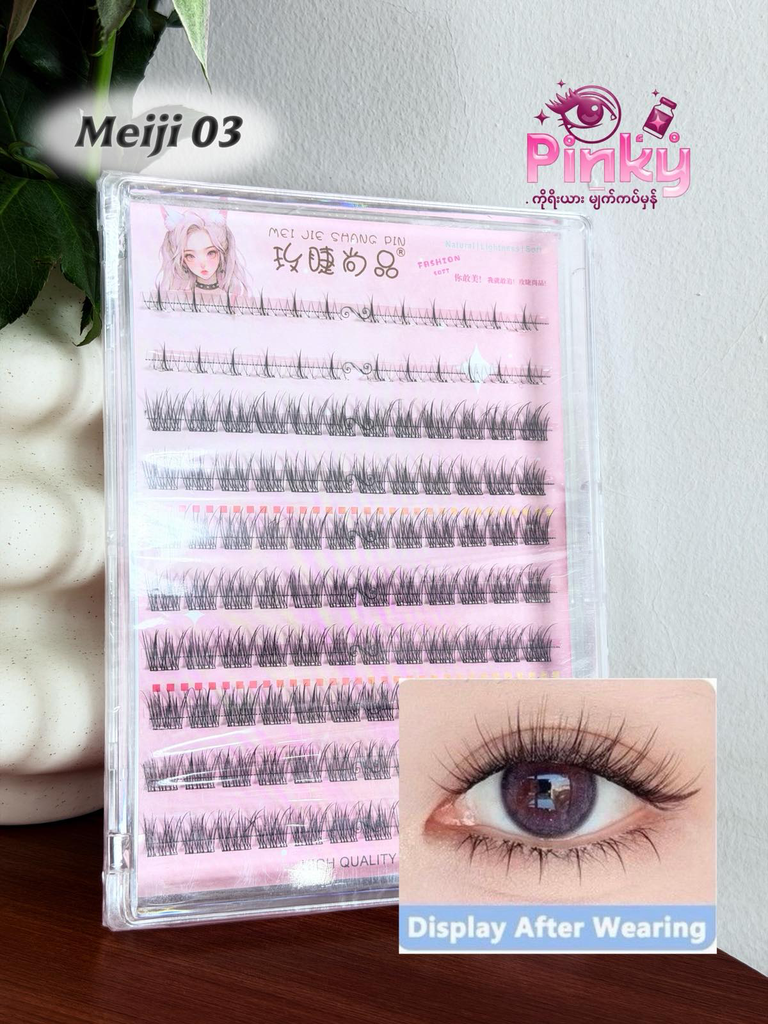 Meiji 03